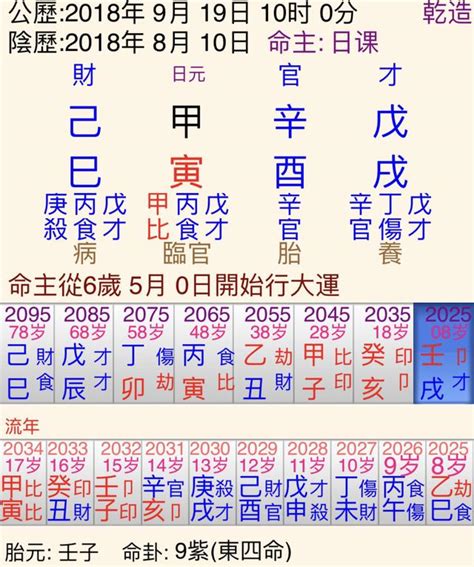 日柱己巳|【己巳 日柱】揭開己巳日柱的命運奧秘：生日密碼與運勢解析